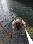 IMG_7380 IMG_7380