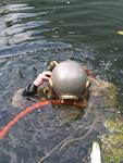 IMG_7381 IMG_7381