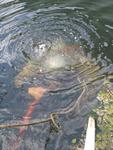 IMG_7382 IMG_7382