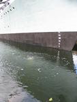 IMG_7385 IMG_7385