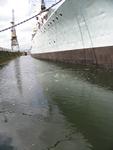 IMG_7386 IMG_7386