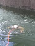 IMG_7390 IMG_7390
