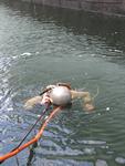 IMG_7391 IMG_7391