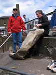 IMG_7406 IMG_7406