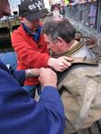 IMG_7424 IMG_7424