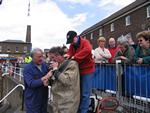 IMG_7430 IMG_7430