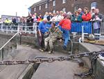 IMG_7433 IMG_7433