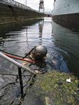 IMG_7461 IMG_7461