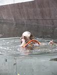 IMG_7465 IMG_7465