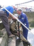 IMG_7471 IMG_7471