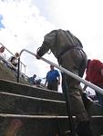 IMG_7473 IMG_7473