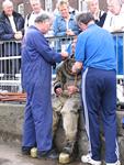 IMG_7494 IMG_7494