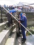 IMG_7514 IMG_7514