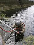 IMG_7520 IMG_7520