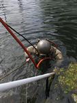 IMG_7521 IMG_7521