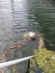IMG_7523 IMG_7523