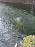 IMG_7524 IMG_7524