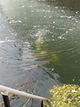 IMG_7526 IMG_7526