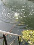 IMG_7527 IMG_7527