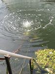 IMG_7528 IMG_7528