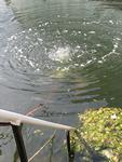 IMG_7529 IMG_7529