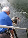 IMG_7530 IMG_7530
