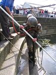IMG_7533 IMG_7533