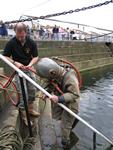 IMG_7570 IMG_7570