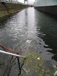 IMG_7574 IMG_7574