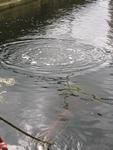 IMG_7577 IMG_7577