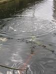 IMG_7578 IMG_7578