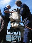 IMG_0384 IMG_0384