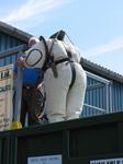 IMG_0390 IMG_0390