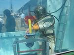 IMG_0410 IMG_0410