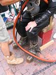 IMG_8558 IMG_8558