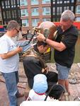 IMG_8577 IMG_8577