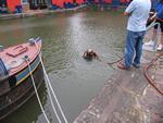 IMG_8587 IMG_8587