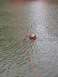 IMG_8595 IMG_8595