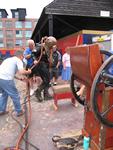 IMG_8598 IMG_8598