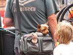 IMG_8604 IMG_8604