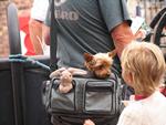 IMG_8605 IMG_8605