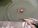 IMG_8629 IMG_8629