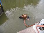 IMG_8630 IMG_8630