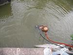IMG_8631 IMG_8631