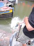 IMG_8652 IMG_8652