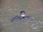 IMG_8653 IMG_8653