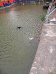 IMG_8670 IMG_8670