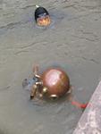 IMG_8673 IMG_8673