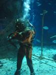 IMG_6347 IMG_6347