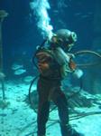 IMG_6349 IMG_6349